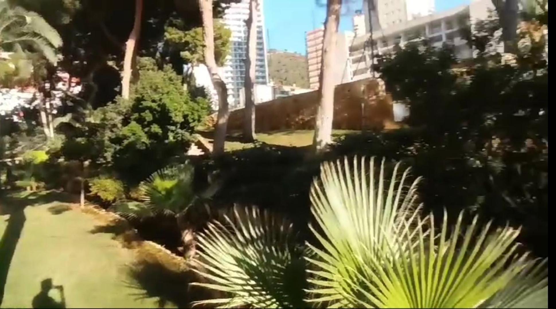Nuevo Apto Hasta 6 Personas Muy Cerca De Playa Levante Con Jardines Y Gran Piscina , Pista De Tennis Y Futbol Deportes Y Zona Infantil ,en Urbanizacion Con Parking Apartment Benidorm