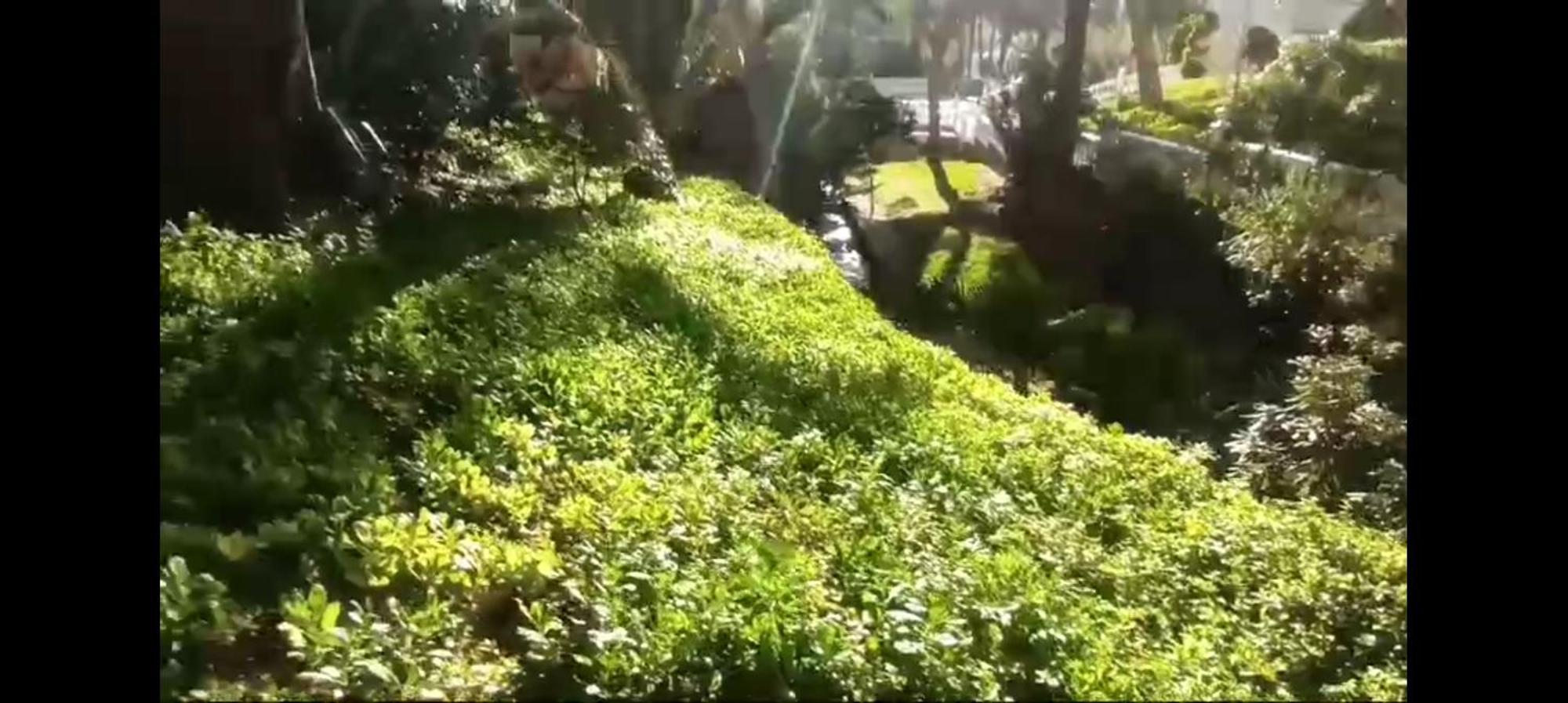 Nuevo Apto Hasta 6 Personas Muy Cerca De Playa Levante Con Jardines Y Gran Piscina , Pista De Tennis Y Futbol Deportes Y Zona Infantil ,en Urbanizacion Con Parking Apartment *